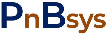 피앤비시스 로고